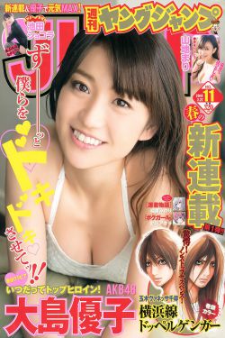 坏家伙2